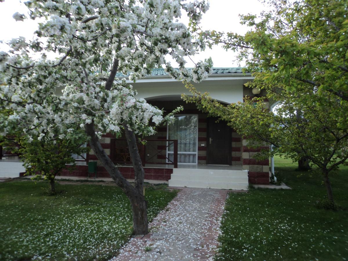 Resort Center Raduga Dolinka Exterior photo
